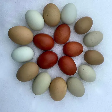 Bergromantik Fritzenlehen Berchtesgaden