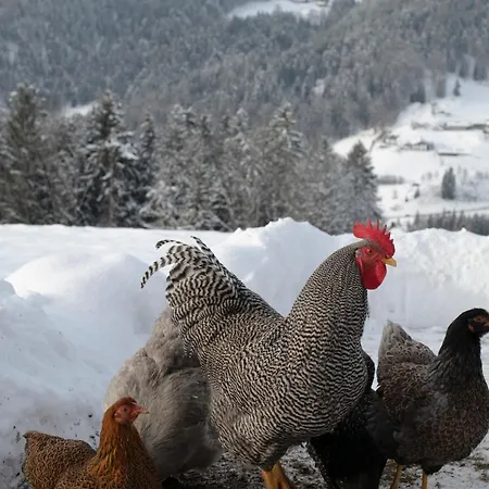Lejlighed Bergromantik Fritzenlehen
